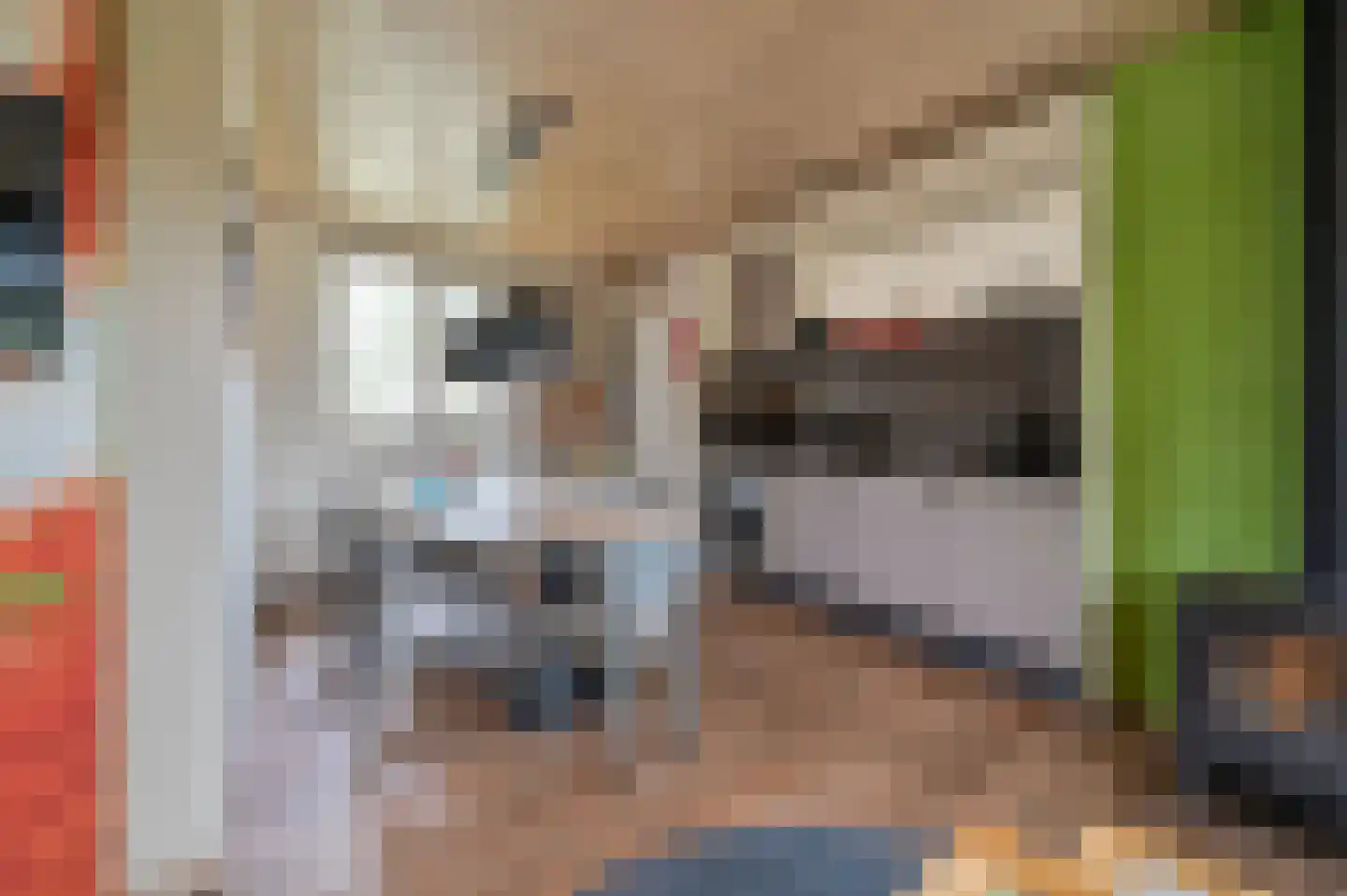 Grevenhout 21 107 Uddel thumbnail 7