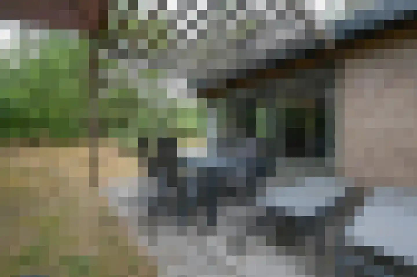 Grevenhout 21 114 Uddel thumbnail 16