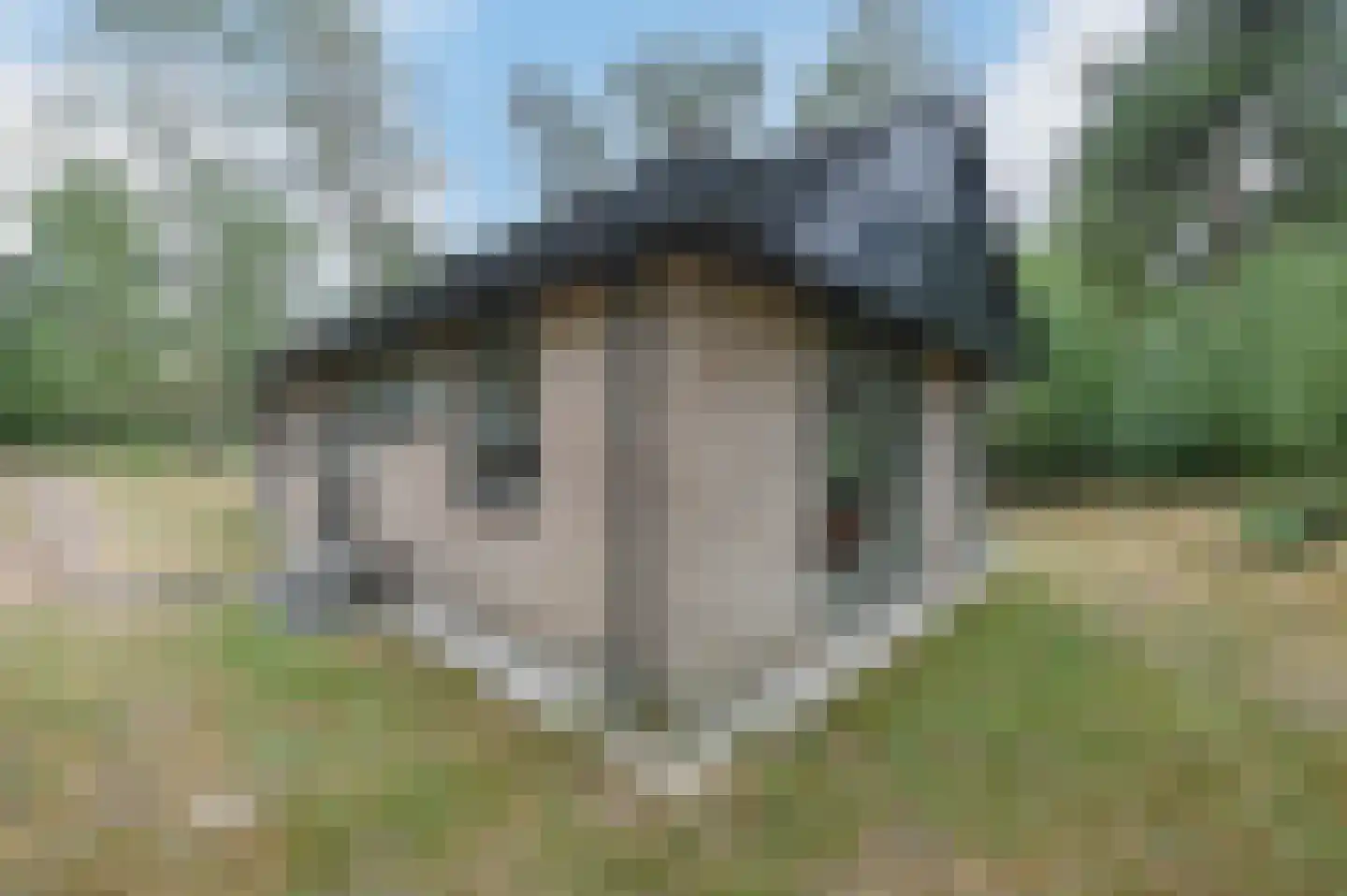 Grevenhout 21 114 Uddel thumbnail 17