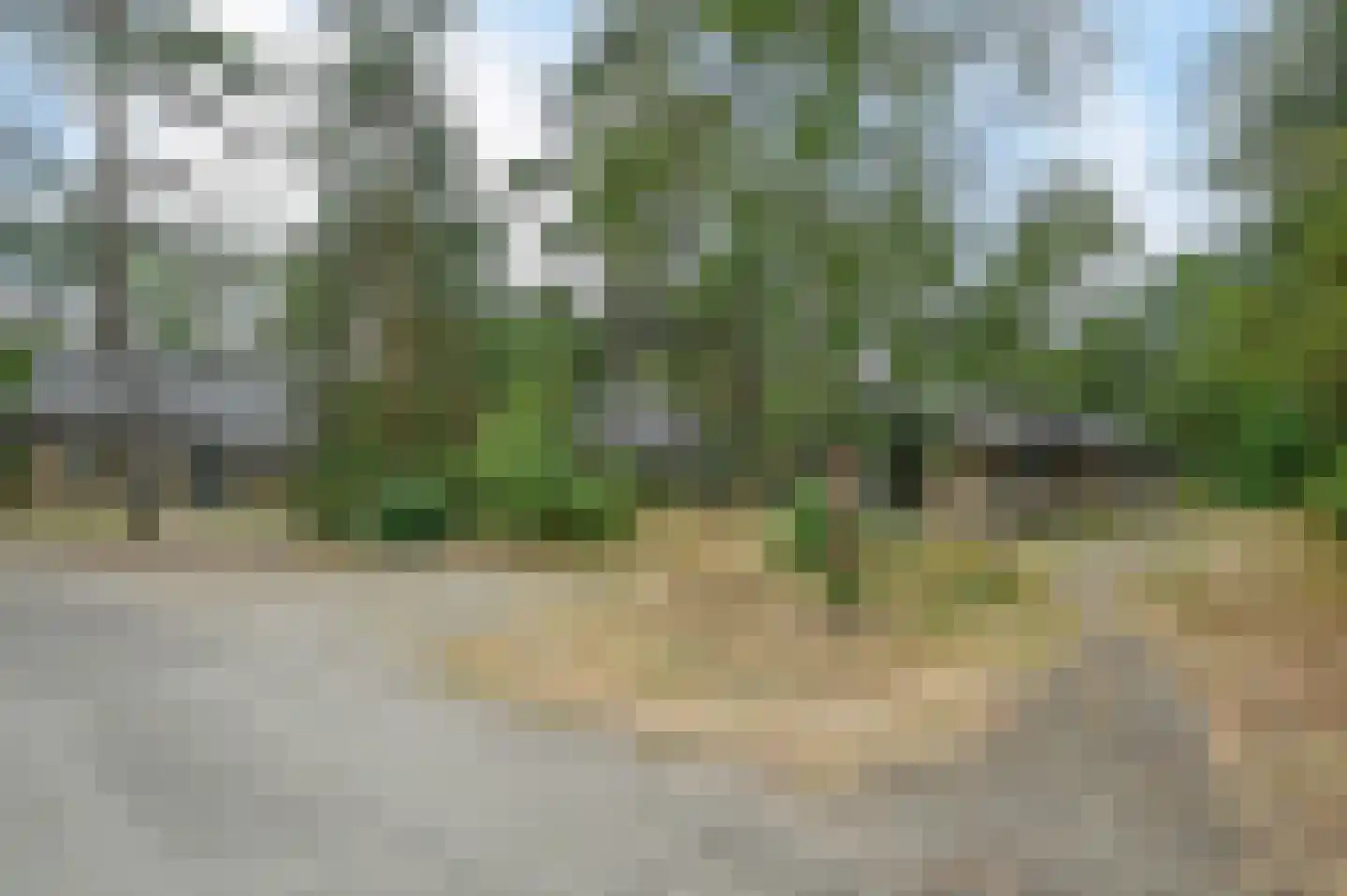 Grevenhout 21 114 Uddel thumbnail 18