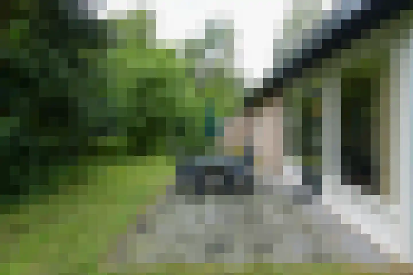 Grevenhout 21 129 Uddel thumbnail 19