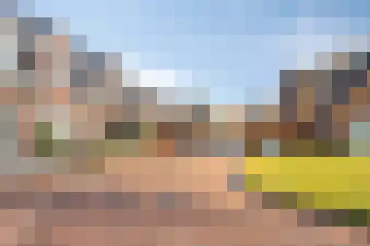 Grevenhout 21 130 Uddel thumbnail 18