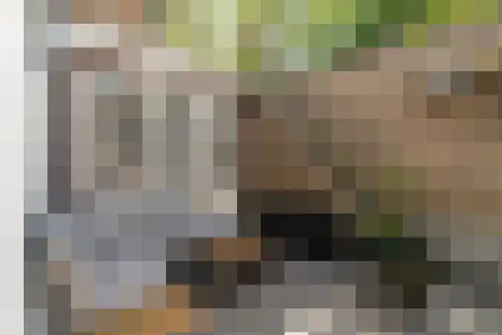 Grevenhout 21 130 Uddel thumbnail 27