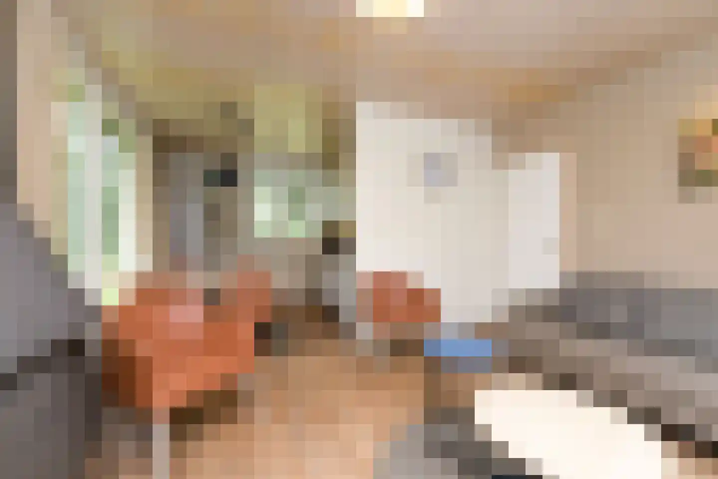 Grevenhout 21 130 Uddel thumbnail 8