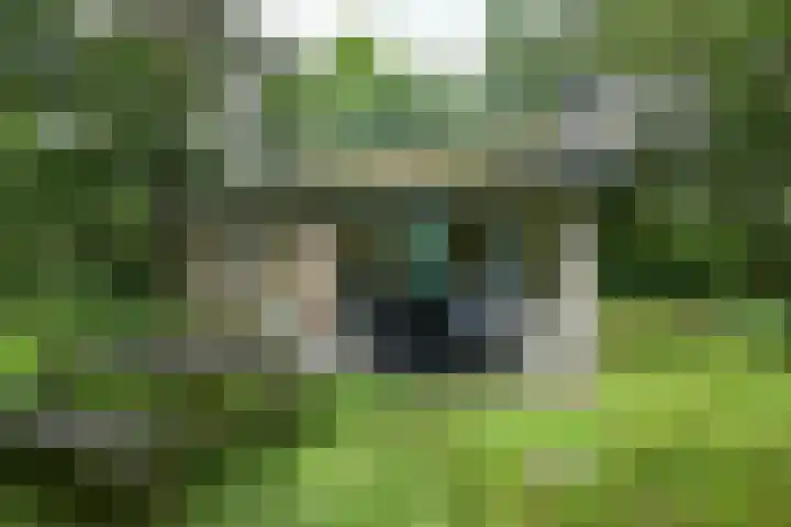 Grevenhout 21 169 Uddel thumbnail 24