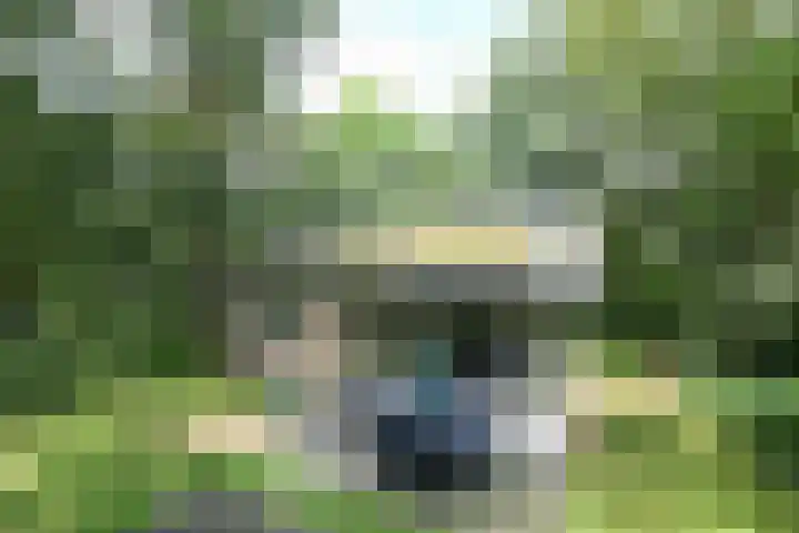 Grevenhout 21 169 Uddel thumbnail 25