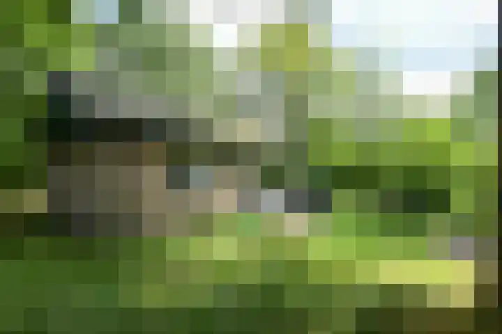Grevenhout 21 169 Uddel thumbnail 26