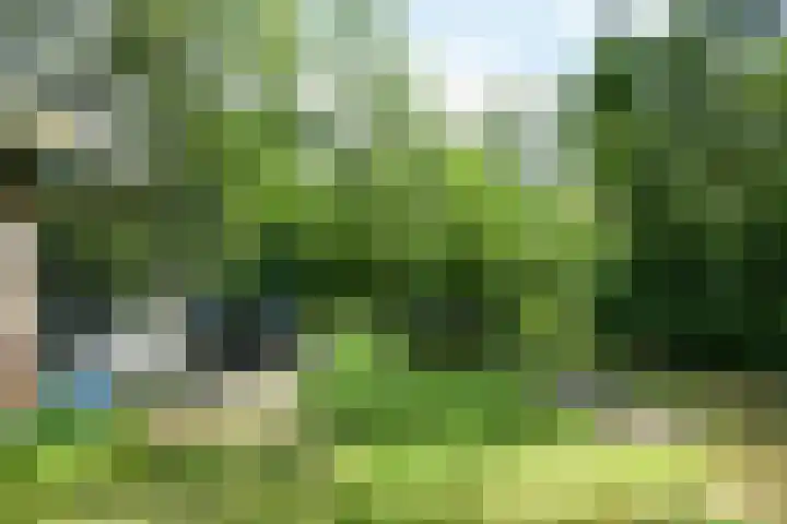 Grevenhout 21 169 Uddel thumbnail 27