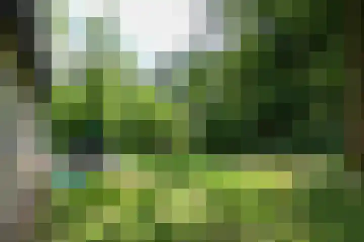 Grevenhout 21 169 Uddel thumbnail 28