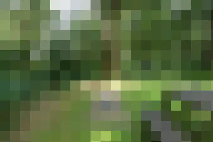 Grevenhout 21 169 Uddel thumbnail 29