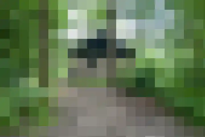Grevenhout 21 169 Uddel thumbnail 30