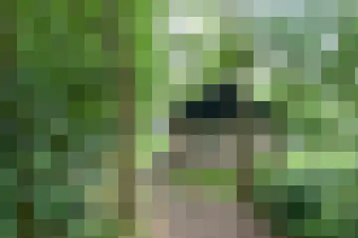 Grevenhout 21 169 Uddel thumbnail 31