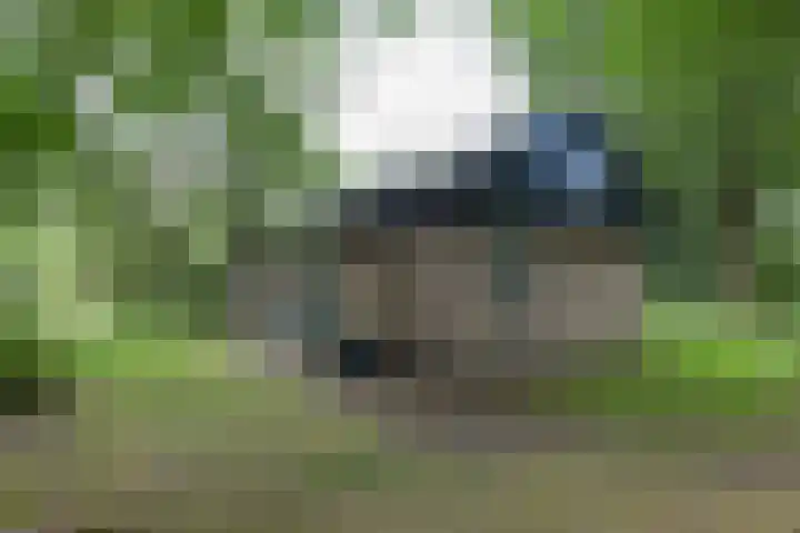 Grevenhout 21 169 Uddel thumbnail 32