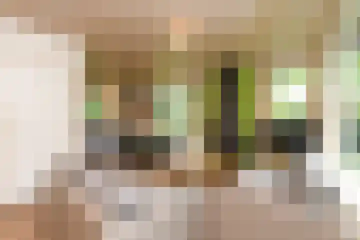 Grevenhout 21 169 Uddel thumbnail 5