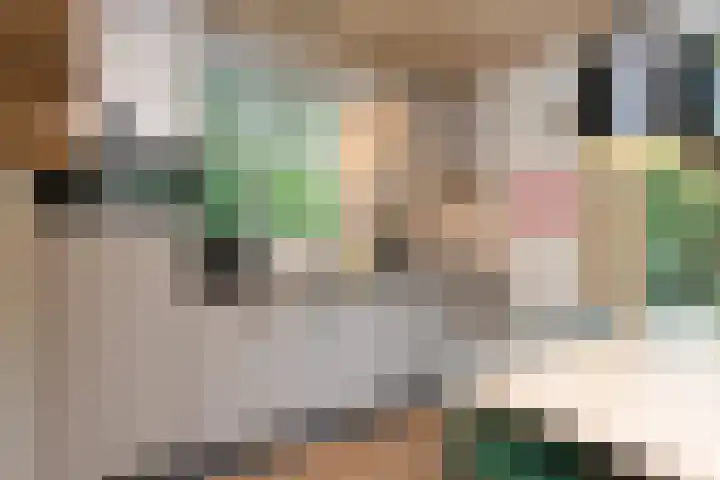Grevenhout 21 169 Uddel thumbnail 9