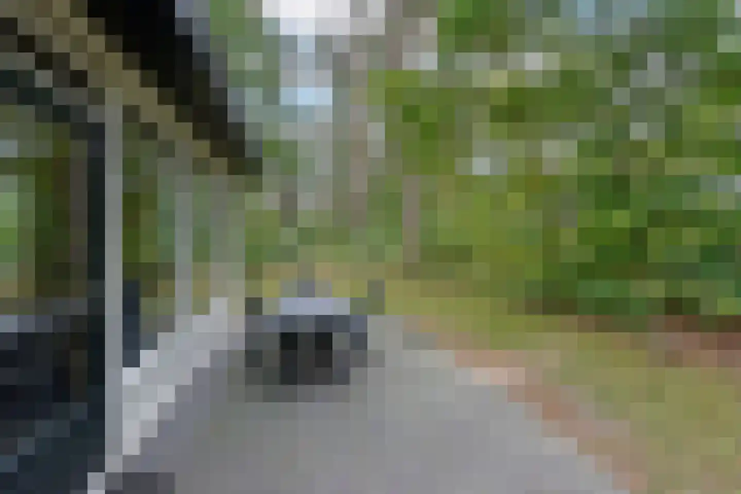 Grevenhout 21 172 Uddel thumbnail 21