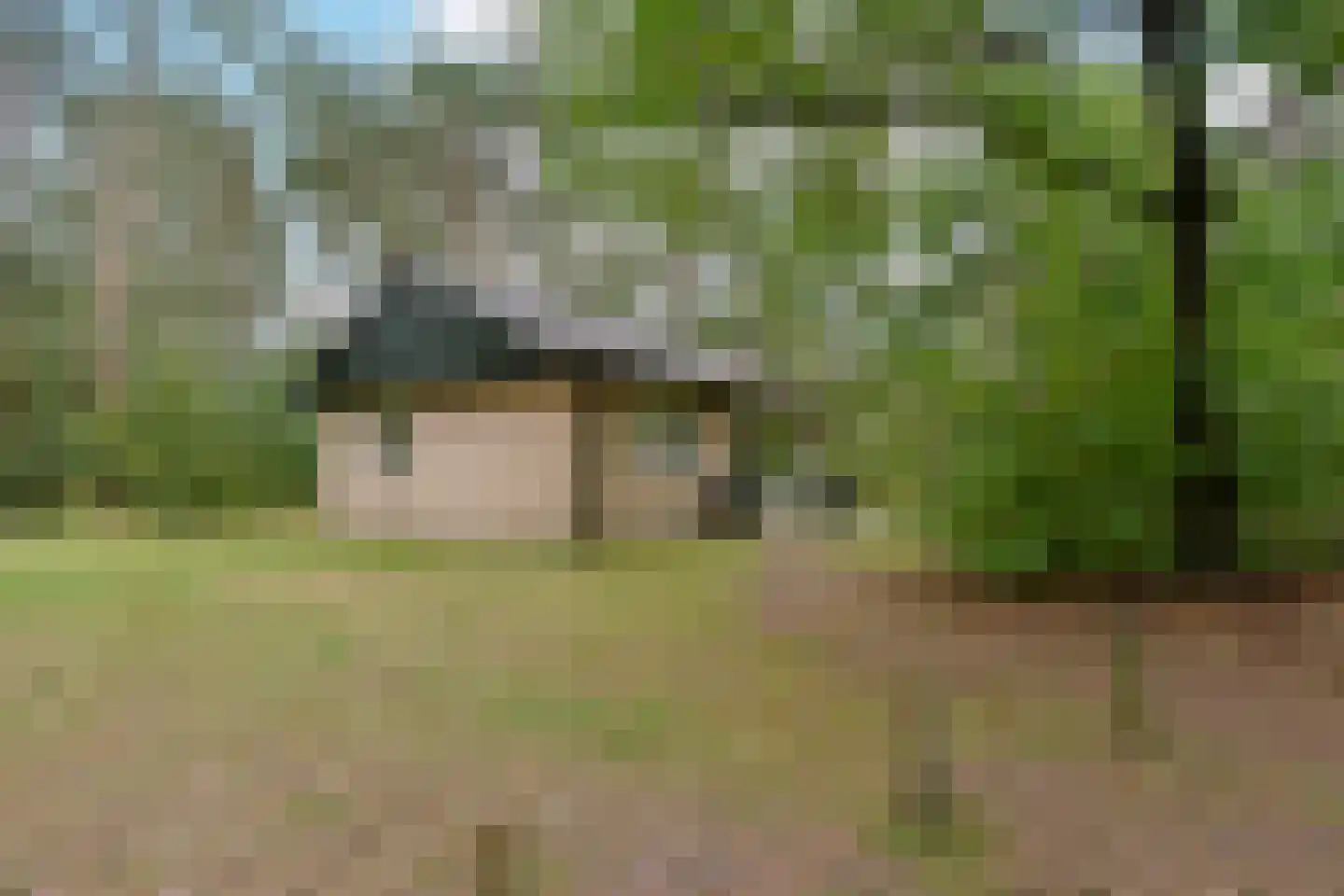 Grevenhout 21 172 Uddel thumbnail 23