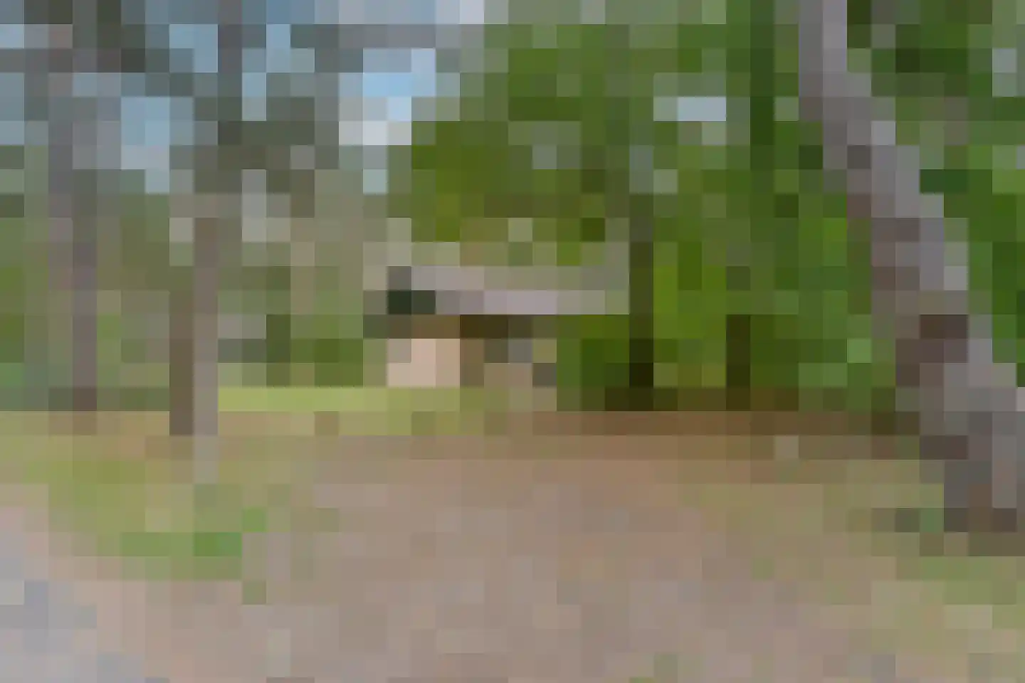 Grevenhout 21 172 Uddel thumbnail 24