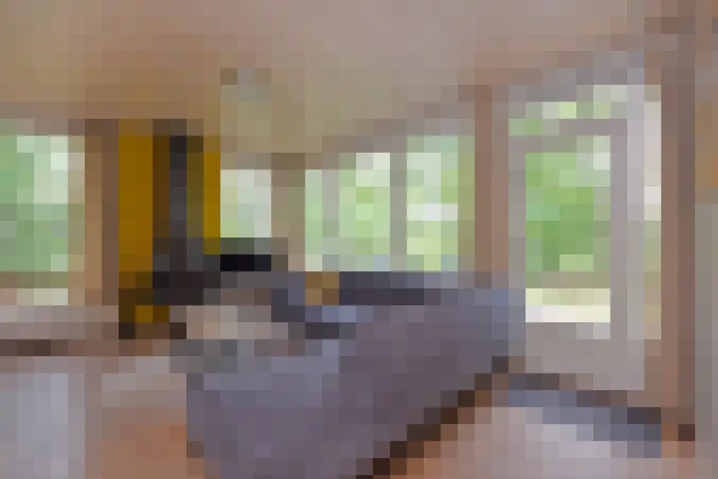 Grevenhout 21 172 Uddel thumbnail 4