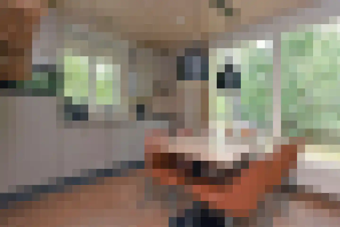 Grevenhout 21 172 Uddel thumbnail 9