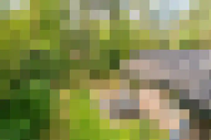 Grevenhout 21 217 Uddel thumbnail 14