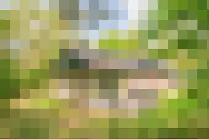 Grevenhout 21 217 Uddel thumbnail 16