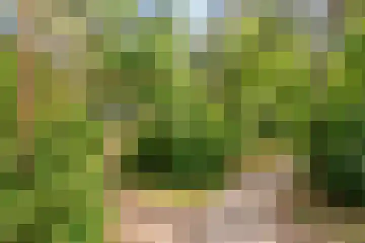 Grevenhout 21 217 Uddel thumbnail 19