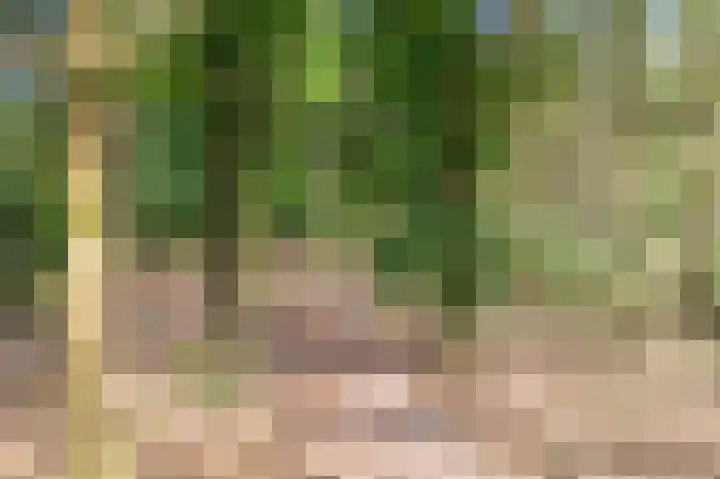 Grevenhout 21 217 Uddel thumbnail 20