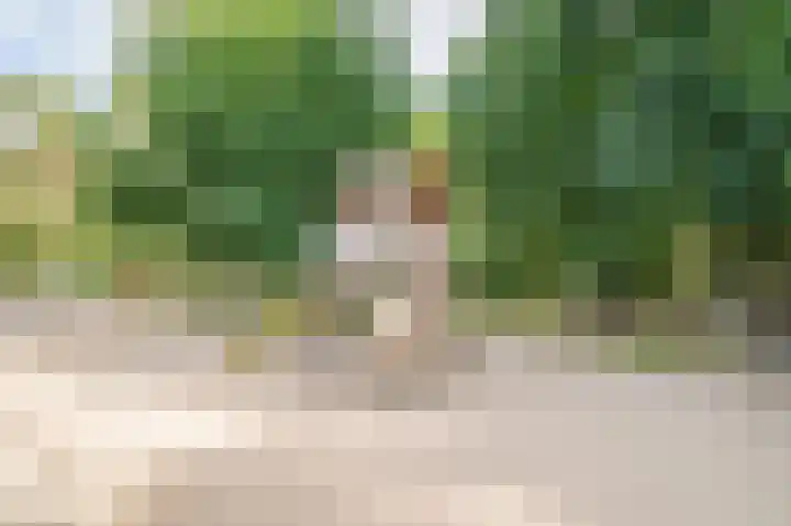 Grevenhout 21 217 Uddel thumbnail 22