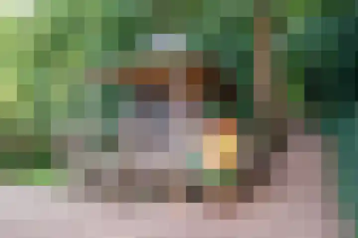 Grevenhout 21 217 Uddel thumbnail 23