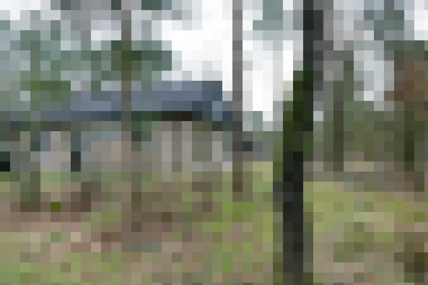 Grevenhout 21 312 Uddel thumbnail 21
