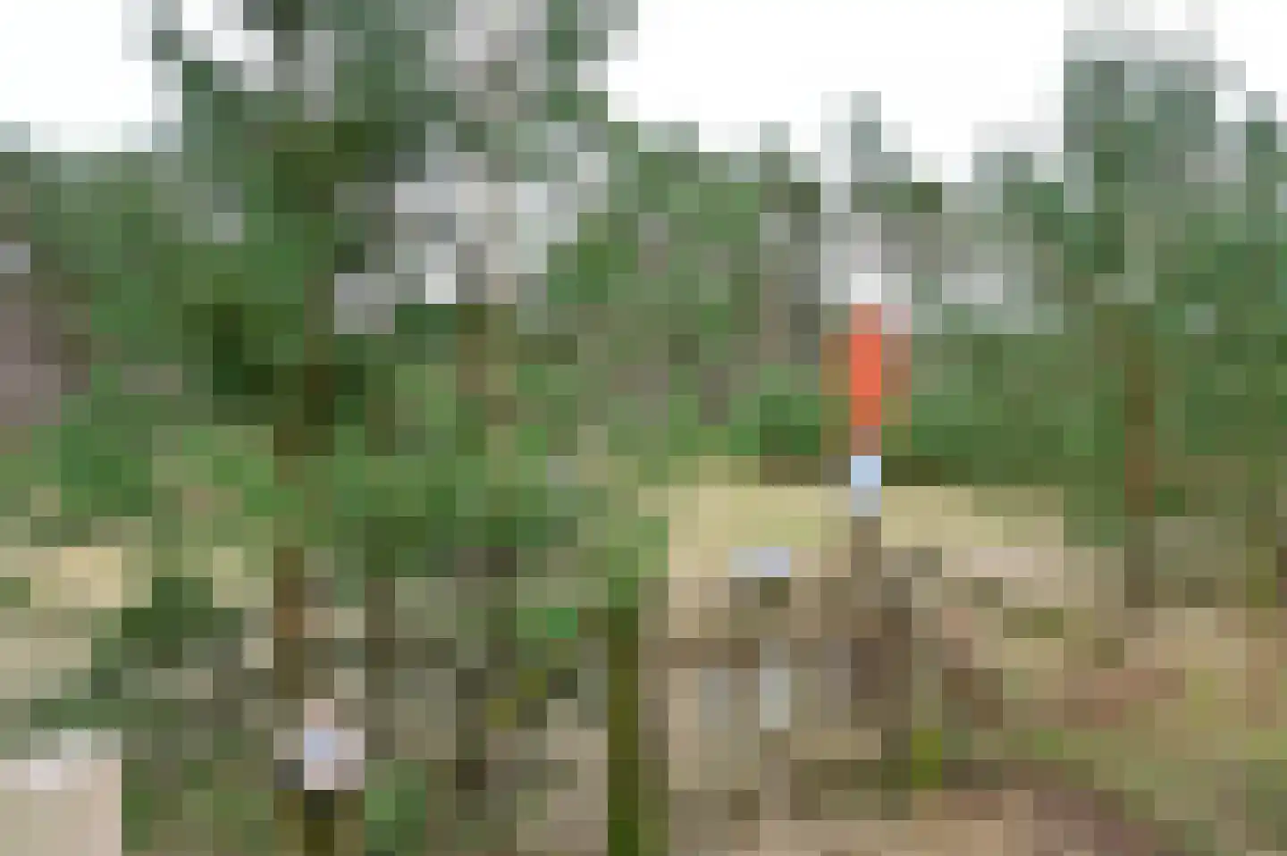 Grevenhout 21 312 Uddel thumbnail 22