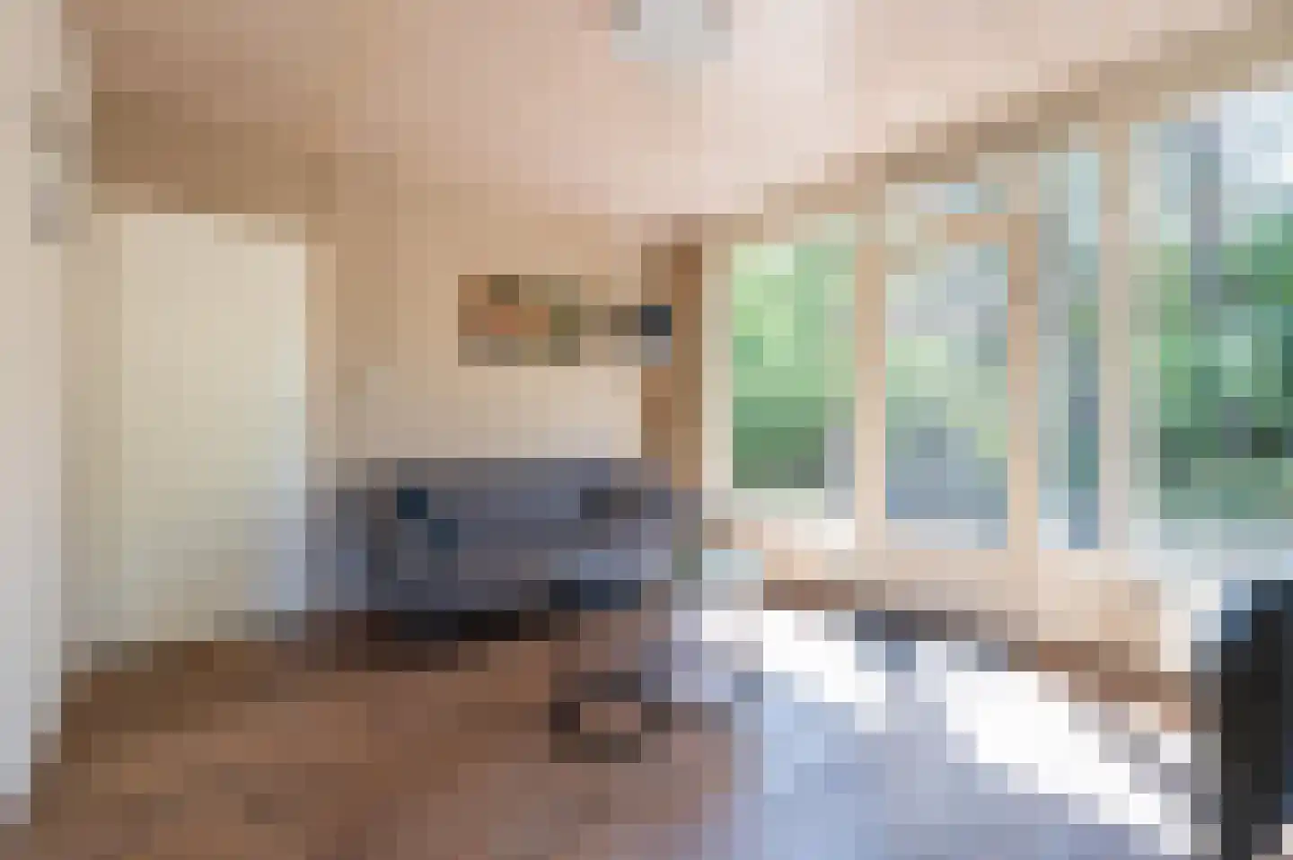 Grevenhout 21 318 Uddel thumbnail 4