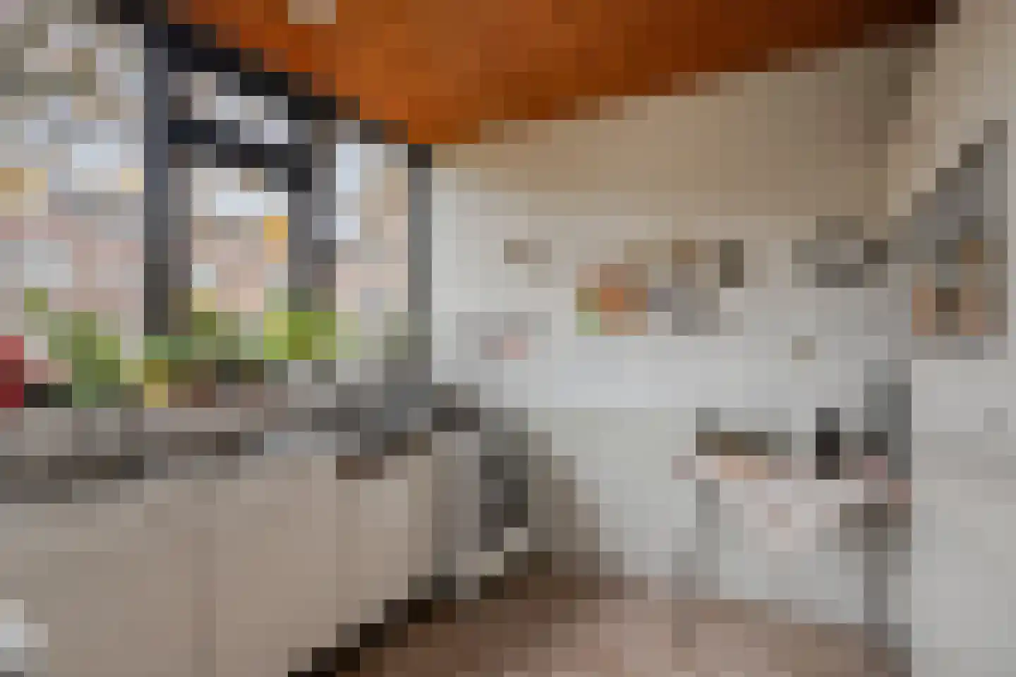 Grevenmacherhof 11 Eindhoven thumbnail 12