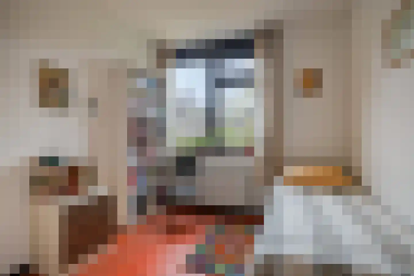 Grevenmacherhof 11 Eindhoven thumbnail 15