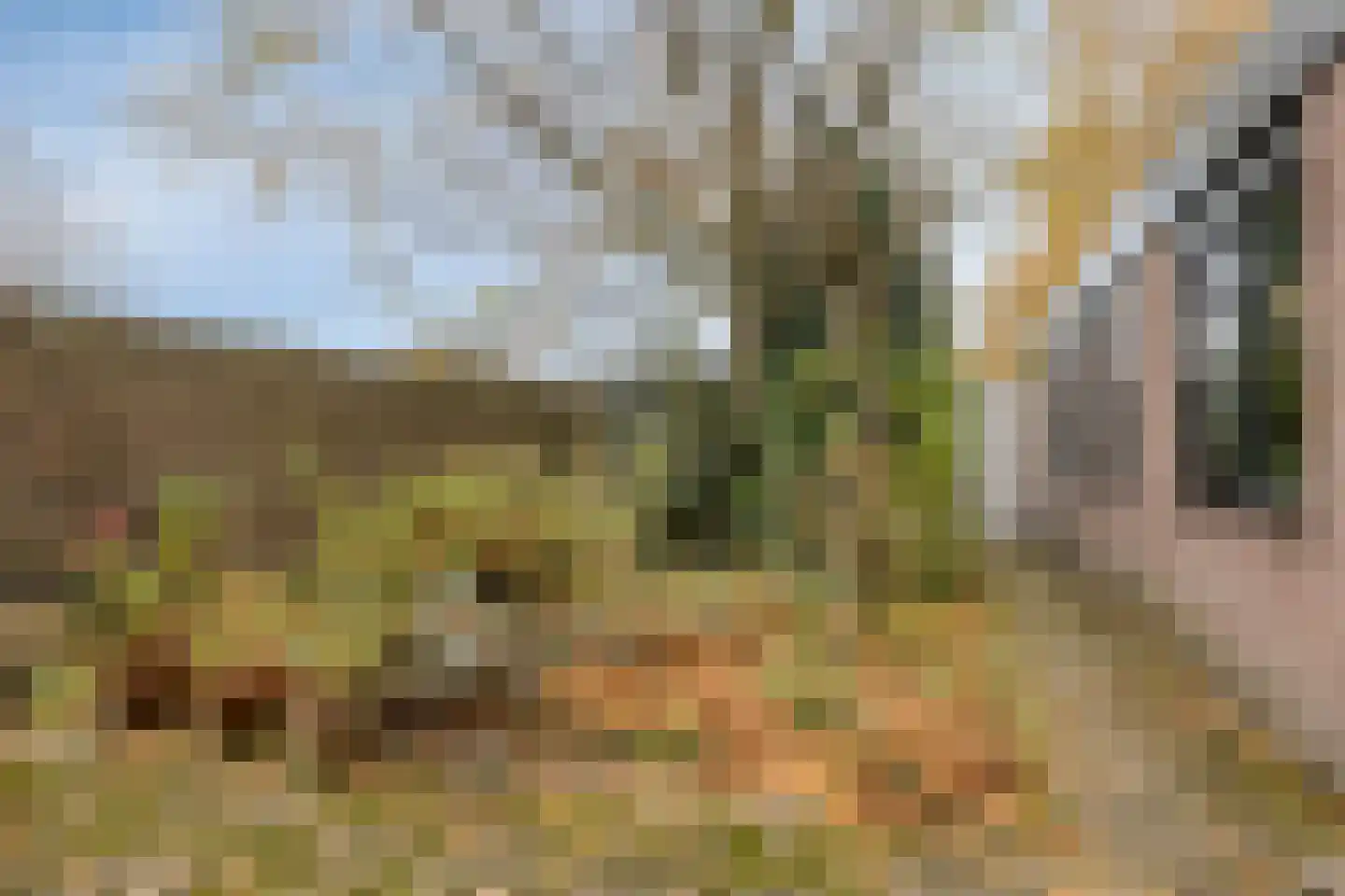 Grevenmacherhof 11 Eindhoven thumbnail 23