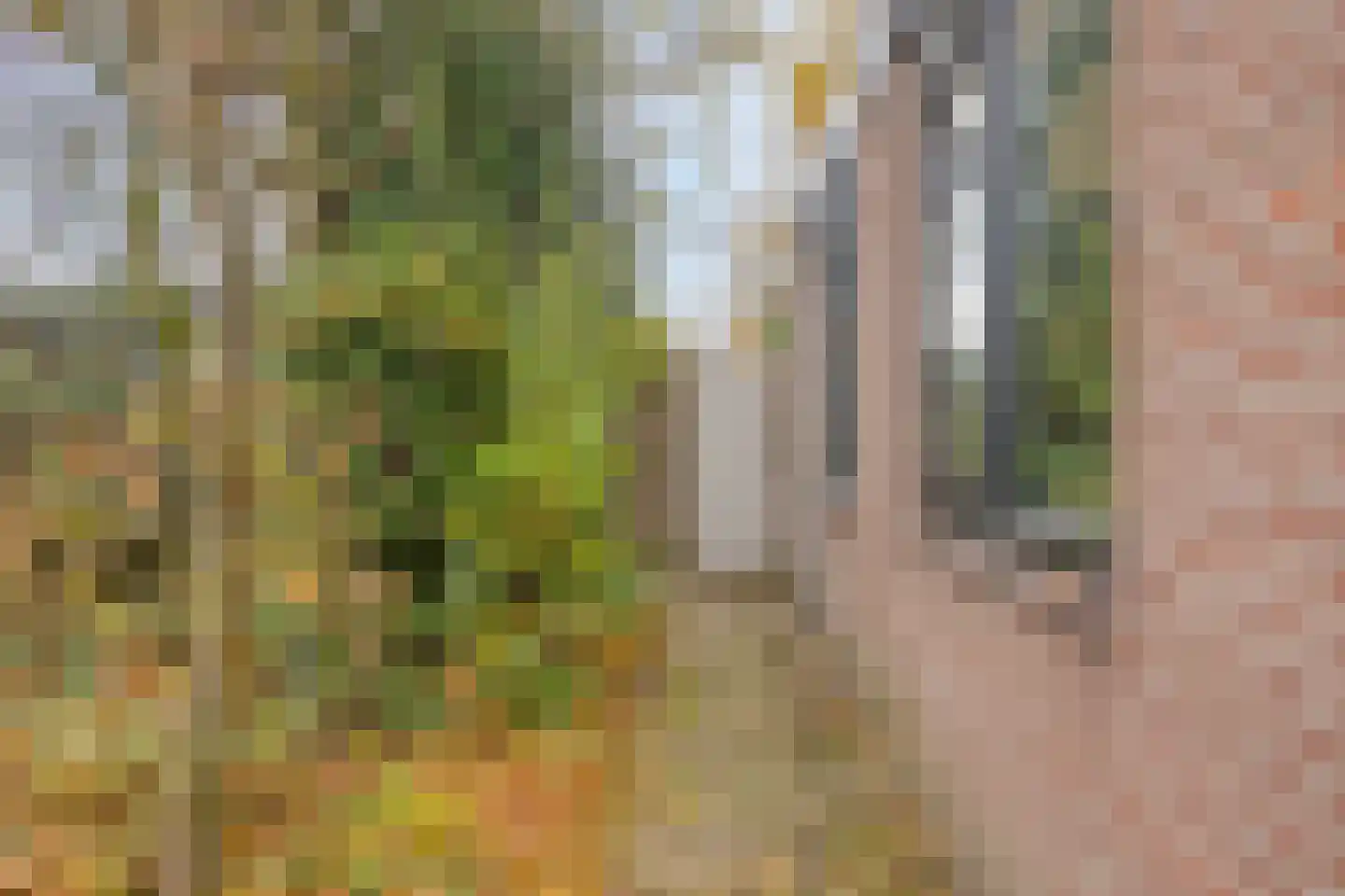 Grevenmacherhof 11 Eindhoven thumbnail 26