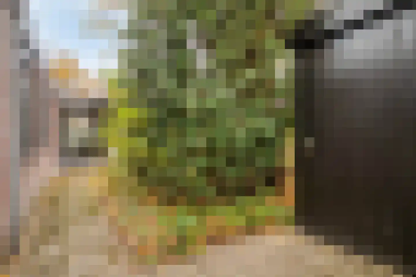 Grevenmacherhof 11 Eindhoven thumbnail 27