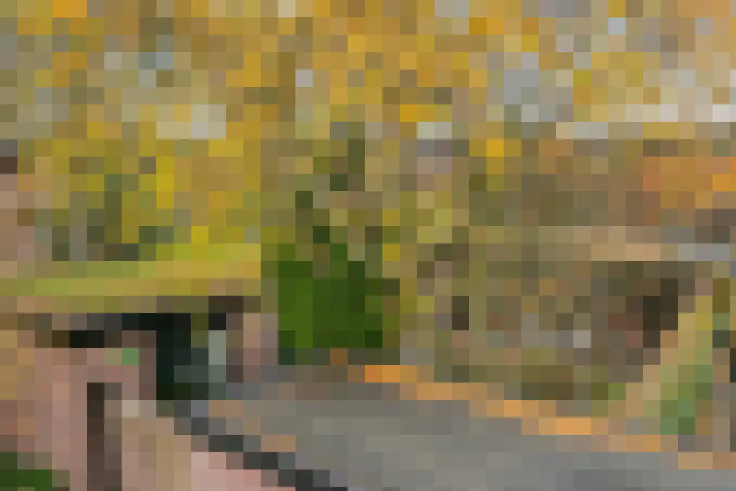 Grevenmacherhof 11 Eindhoven thumbnail 28