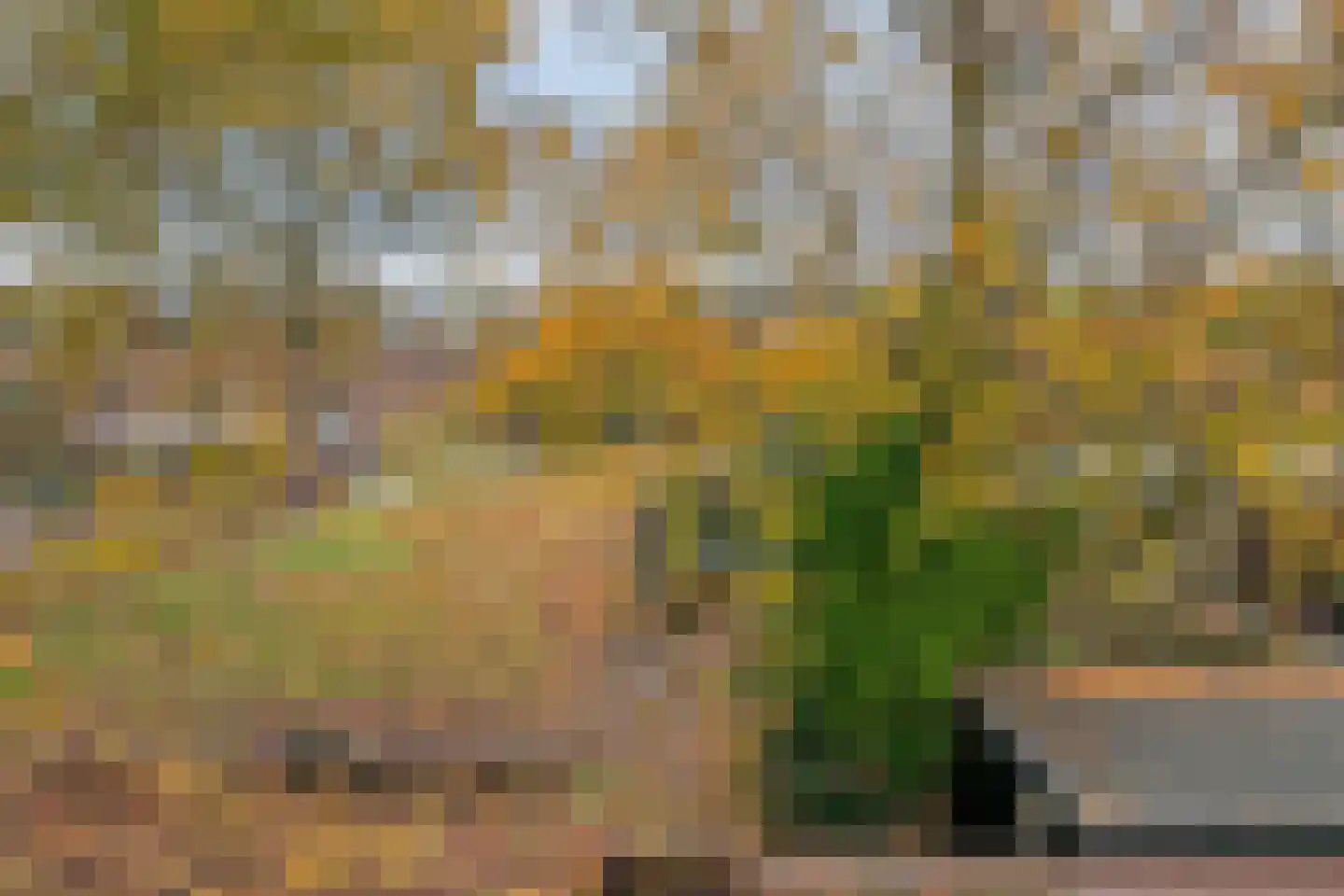 Grevenmacherhof 11 Eindhoven thumbnail 29