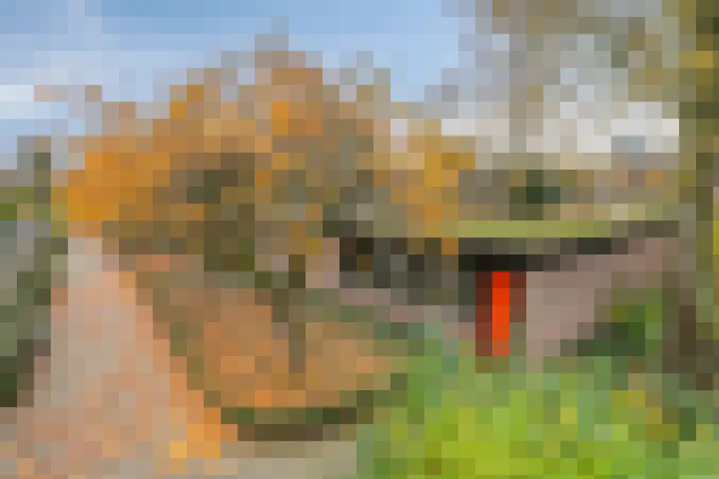 Grevenmacherhof 11 Eindhoven thumbnail 30
