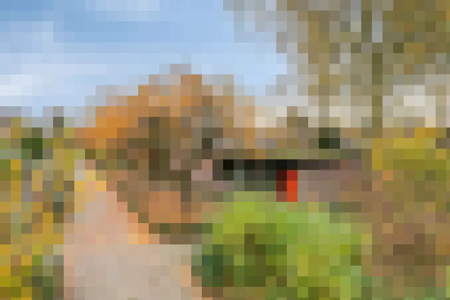 Grevenmacherhof 11 Eindhoven thumbnail 31