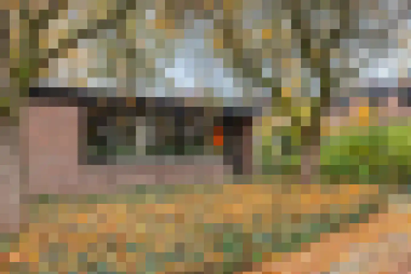 Grevenmacherhof 11 Eindhoven thumbnail 32
