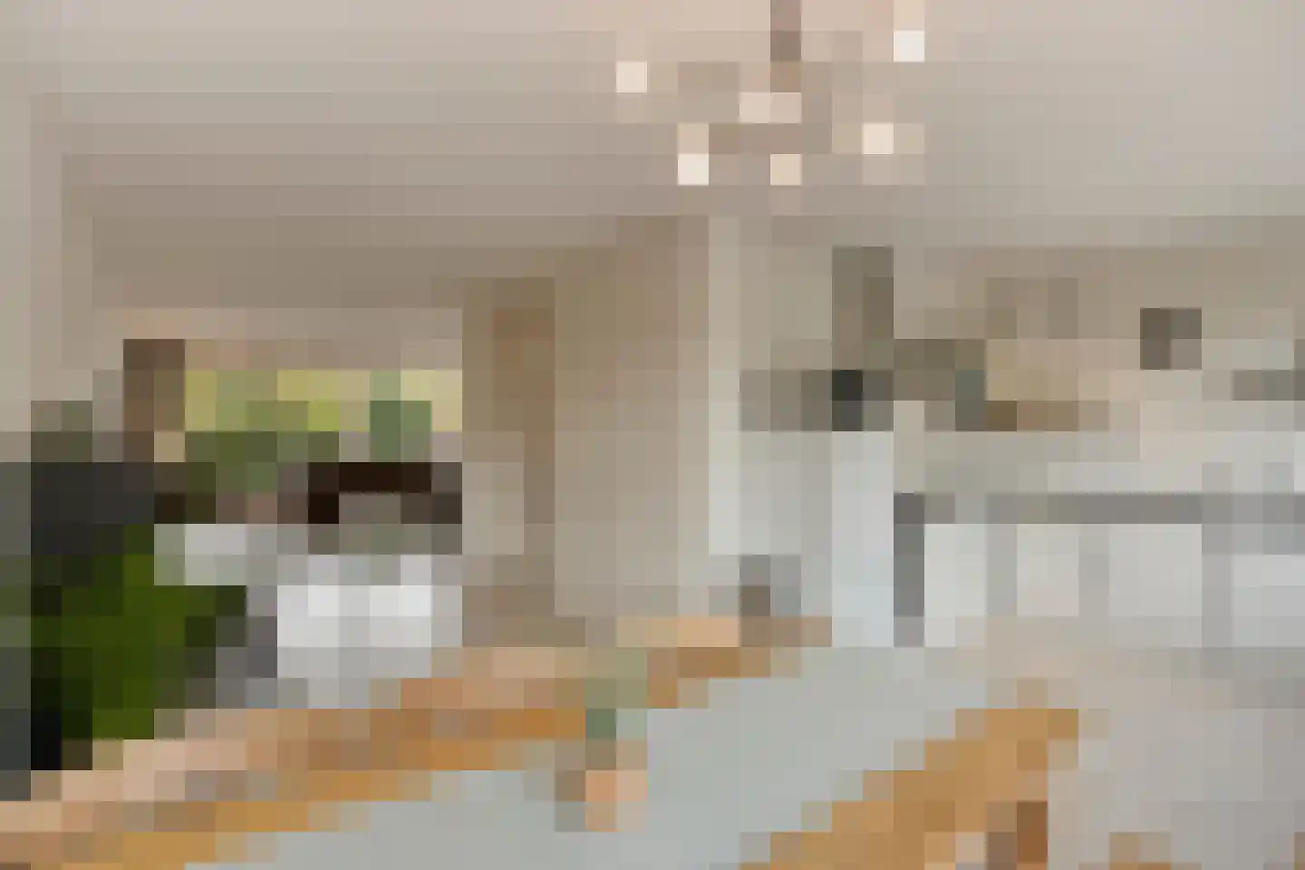 Grevenmacherhof 28 Eindhoven thumbnail 29