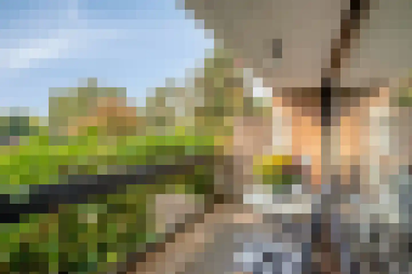 Grevenmacherhof 28 Eindhoven thumbnail 34