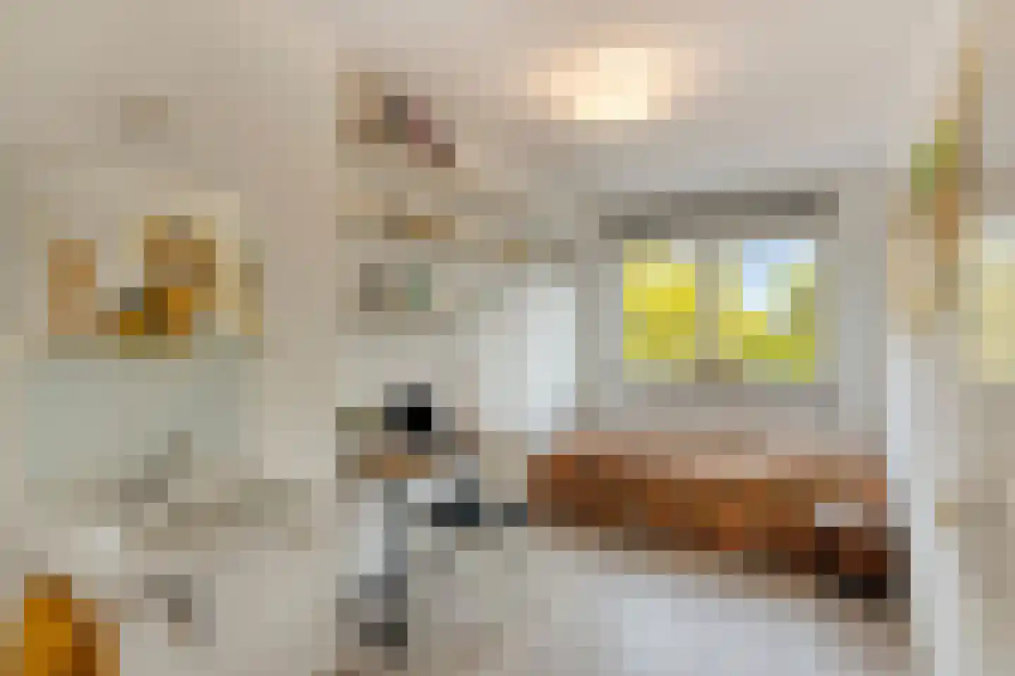 Grevenmacherhof 28 Eindhoven thumbnail 45