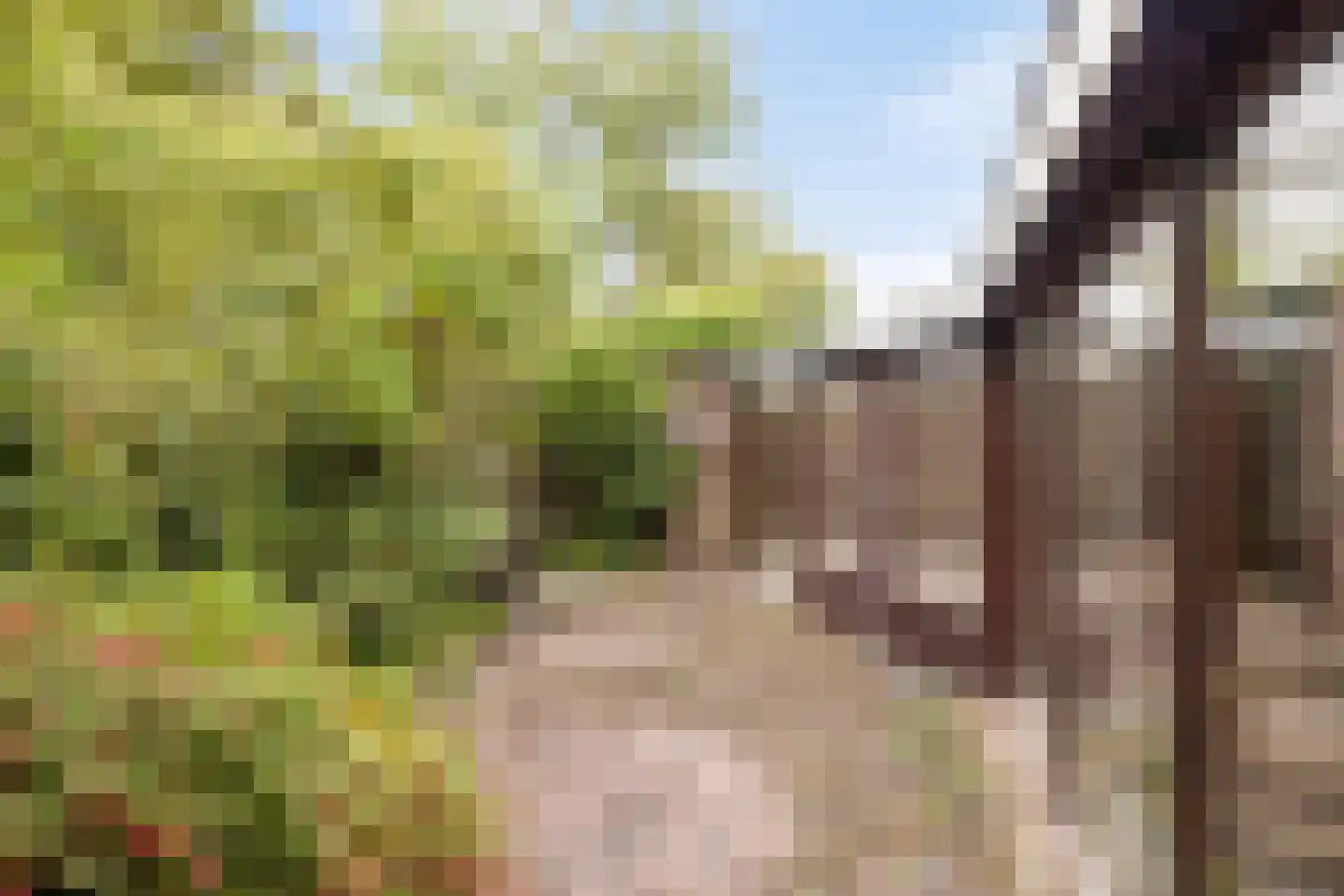 Grevenmacherhof 5 Eindhoven thumbnail 53