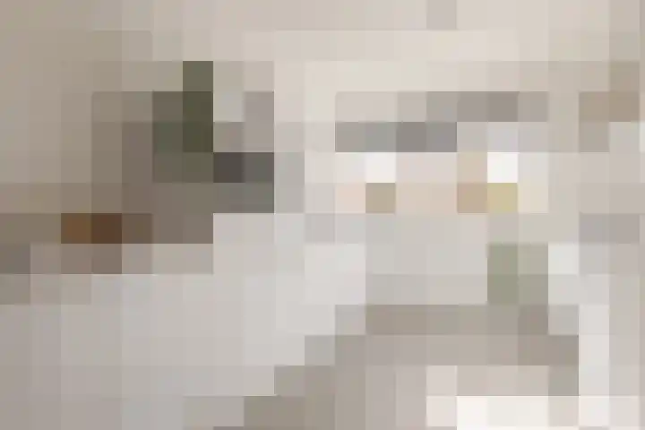 Grevenmate 18 Zwolle thumbnail 17