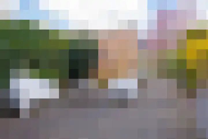 Grevenmate 18 Zwolle thumbnail 25