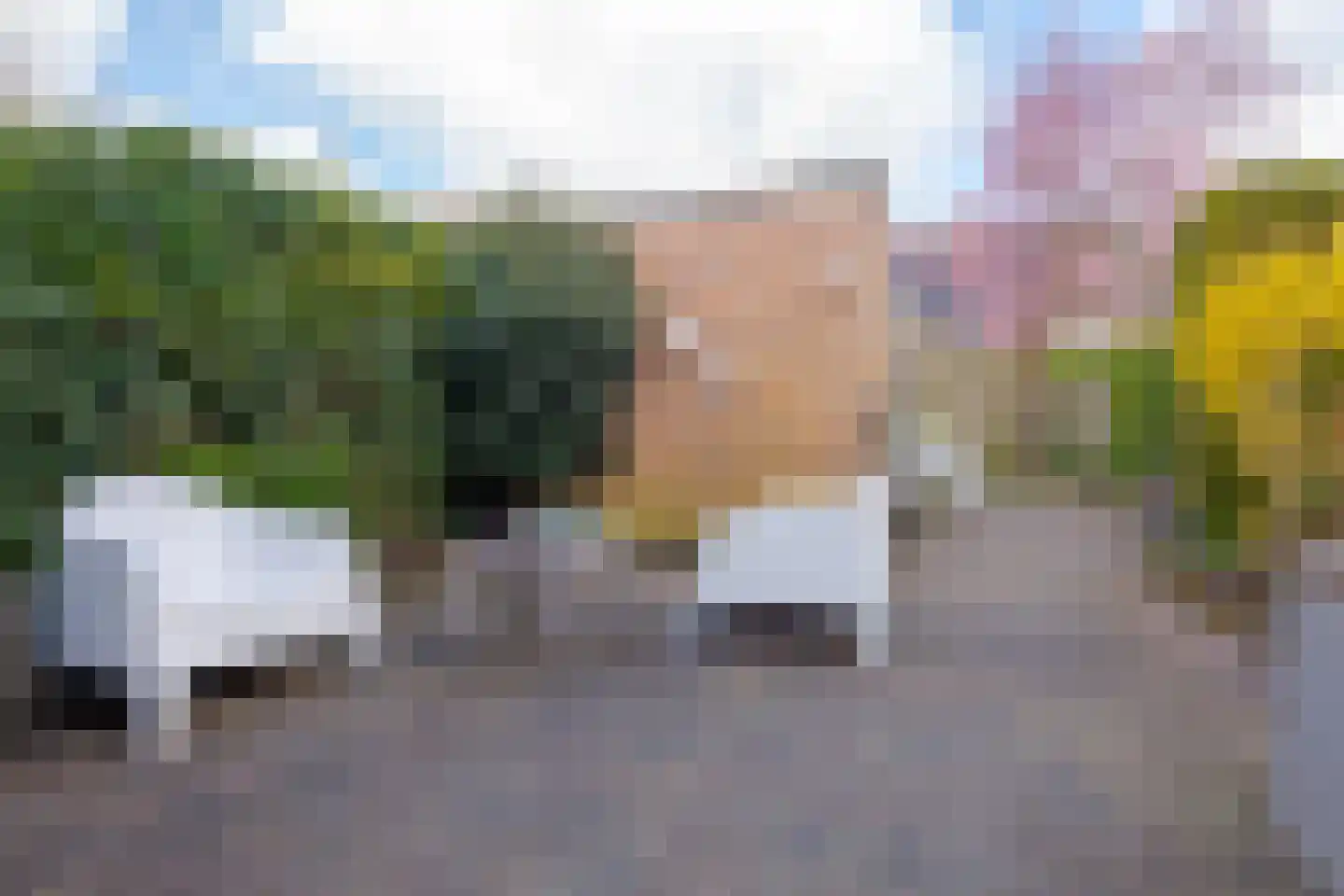 Grevenmate 18 Zwolle thumbnail 25